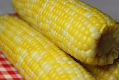 Thumbnail for Delicious and Easy Corn on the Cob Recipe